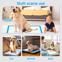 200pcs Dog Absorbent Training Pad 60 x 60 cm Pet Care > Dog Supplies > Dog Training Aids V915-MB0045X2 Online Furniture