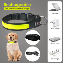 50cm Rechargeable Light-up LED Pet Collar Pet Care > Dog Supplies > Dog Collars, Leads & Harnesses V915-ZP0115 Online Furniture