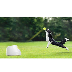 Hyper Fetch Maxi Dog Ball Thrower - Large Interactive Pet Toy Launcher - Furniture Ozily
