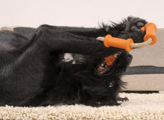 Major Dog Tussle Dummy Dog Toy Small - Tug Toy - Furniture Ozily