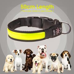 LED Dog Cat Collar USB Rechargeable Nylon Glow Flashing Light Up Safety Puppy - Furniture Ozily