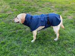 Pet Dog Raincoat Poncho Jacket Windbreaker Waterproof Clothes with Harness Hole-XS-Blue - Furniture Ozily