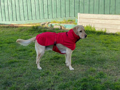 Pet Dog Raincoat Poncho Jacket Windbreaker Waterproof Clothes with Harness Hole-XL-Red - Furniture Ozily