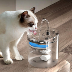 Beginner Version Pet Water Fountain with USB Interface (Excluding Plug) and Filter Set – Transparent Design Pet Care > Cat Supplies > Cat Bowls, Feeders & Waterers V888-ELOSUNG100032 Online Furniture