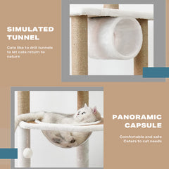 Cat Tree Scratching Post Scratcher Tower Condo House Furniture Bed Stand Pet Care > Cat Supplies V488-PCFM-BG Online Furniture