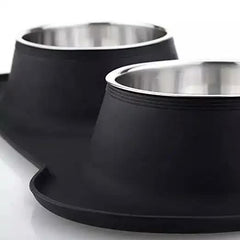 Non-Slip Stainless Steel Double Pet Bowl Set with Spill-Resistant Silicone Mat 45*27cm Black Pet Care > Dog Supplies > Dog Bowls, Feeders & Waterers V888-ELOSUNG10459 Online Furniture