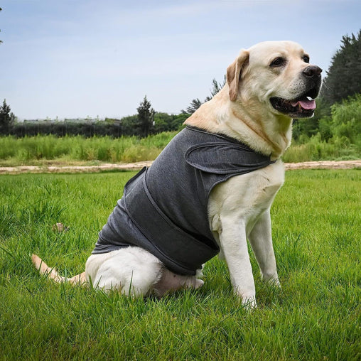 XL Dog Vest Jacket - Warm, Soft, and Comfortable Dog Coat for Winter, Calming and Insulating Dog Apparel Pet Care > Dog Supplies > Dog Apparel V888-ELOSUNG12143 Online Furniture