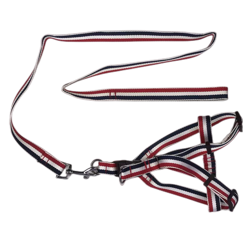 2 X Large Pet Dog Harness Collar leash lead Pet Care > Dog Supplies V278-2-X-TB-020 Online Furniture