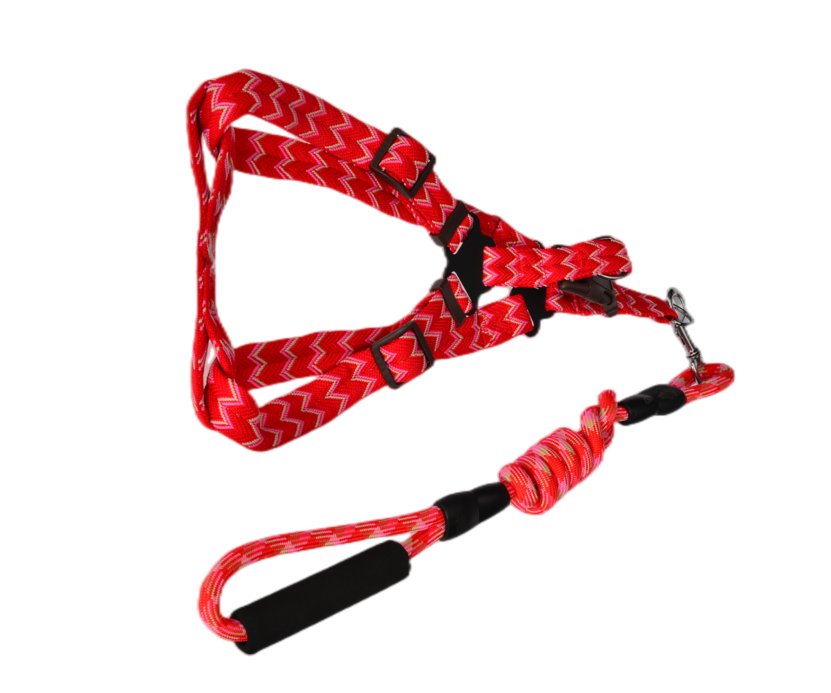 2 X Medium Pet Dog Cat Puppy Kitten Rabbit Dog Harness Collar leash lead 5 Color Pet Care > Dog Supplies V278-2-X-TH-02215 Online Furniture