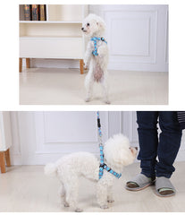2 X Medium Pet Dog Cat Puppy Kitten Rabbit Dog Harness Collar leash lead 5 Color Pet Care > Dog Supplies V278-2-X-TH-02215 Online Furniture