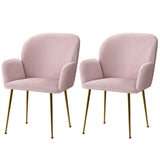 Artiss Dining Chairs Set of 2 Velevt Pink Kynsee