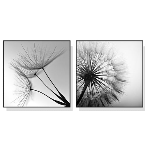 50cmx50cm Black and white dandelion 2 Sets Black Frame Canvas Wall Art - ozily