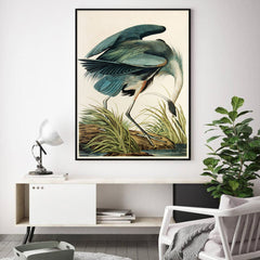 50cmx70cm Great Blue Heron By John James Audubon Black Frame Canvas Wall Art - ozily