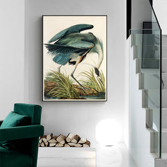 80cmx120cm Great Blue Heron By John James Audubon Black Frame Canvas Wall Art - ozily