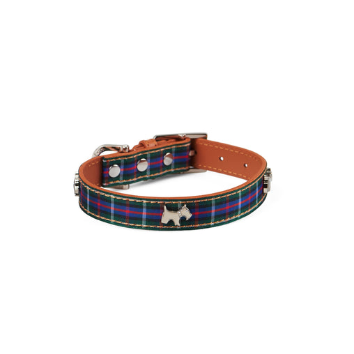 Highland Blue Tartan Dog Collar - ozily