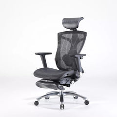Sihoo Ergonomic Office Chair V1 4D Adjustable High-Back Breathable