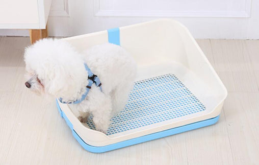 Medium Portable Dog Potty Training Tray Pet Puppy Toilet Trays Loo Pad Mat With Wall Blue - ozily