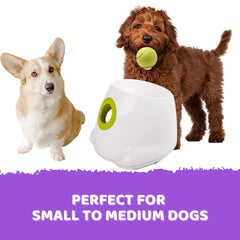 Automatic Ball Launcher Throwing Machine Dog Toys Interactive Tennis Pet 6Balls Pet Care V400-AFP-3196-6BALL Online Furniture