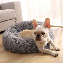 Floofi Pet Bed 80cm(light Grey colour 8) Pet Care > Dog Supplies V227-7050641000034 Online Furniture