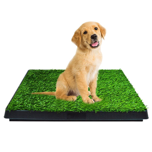 Floofi Pet Grass Training Potty PT-LM-109-FE / PT-LM-109-JL Pet Care > Cleaning & Maintenance V227-7050641001020 Online Furniture