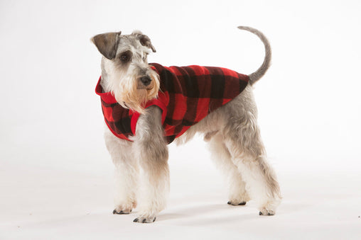 Red Check Dog Pyjamas 35cm Pet Care > Dog Supplies V208-PJ-RC35 Online Furniture